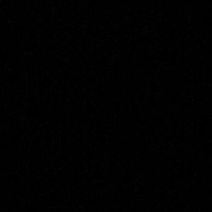 Meet your Posher, Brady